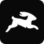 Directus logo